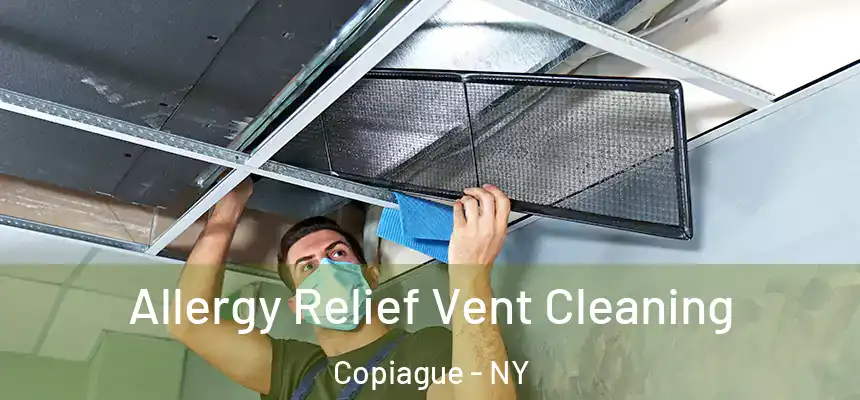  Allergy Relief Vent Cleaning Copiague - NY