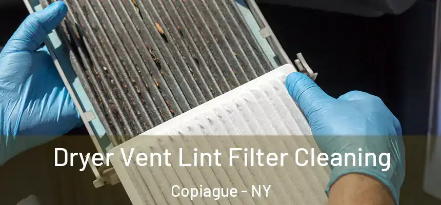  Dryer Vent Lint Filter Cleaning Copiague - NY