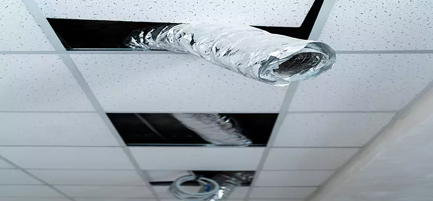 Affordable HVAC Sanitizing After Pest Removal in Copiague