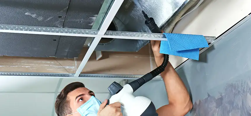 Our Air Duct Rodent Removal Services in Copiague, NY