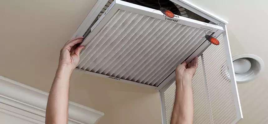 Our Insect Removal from Air Ducts Services in Copiague, NY
