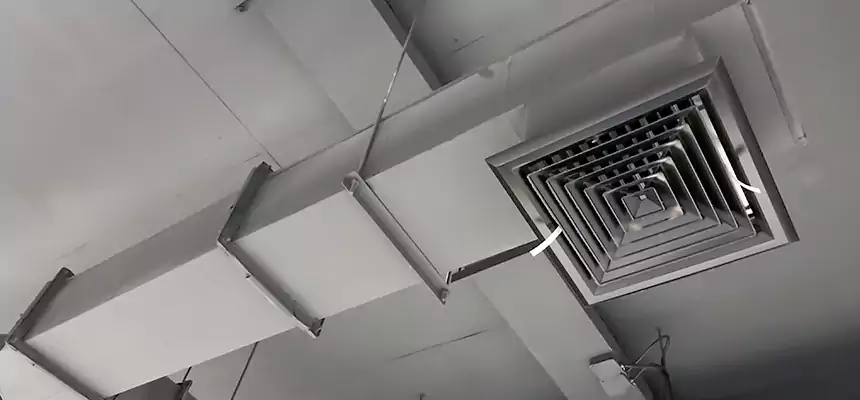 Our Rodent Droppings In Vents Services in Copiague, NY