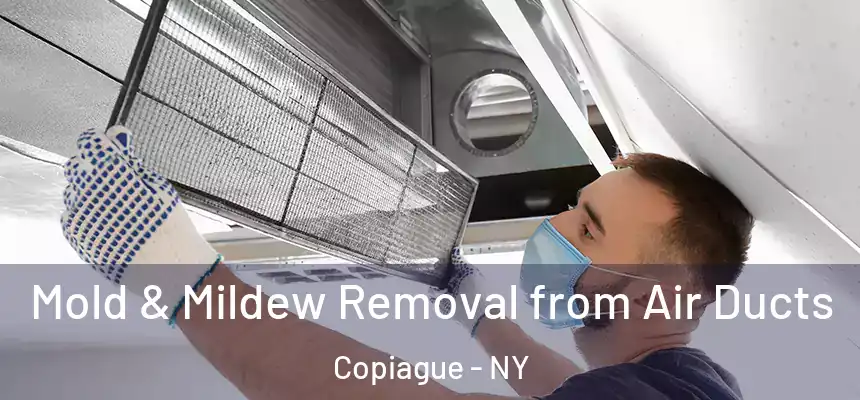  Mold & Mildew Removal from Air Ducts Copiague - NY