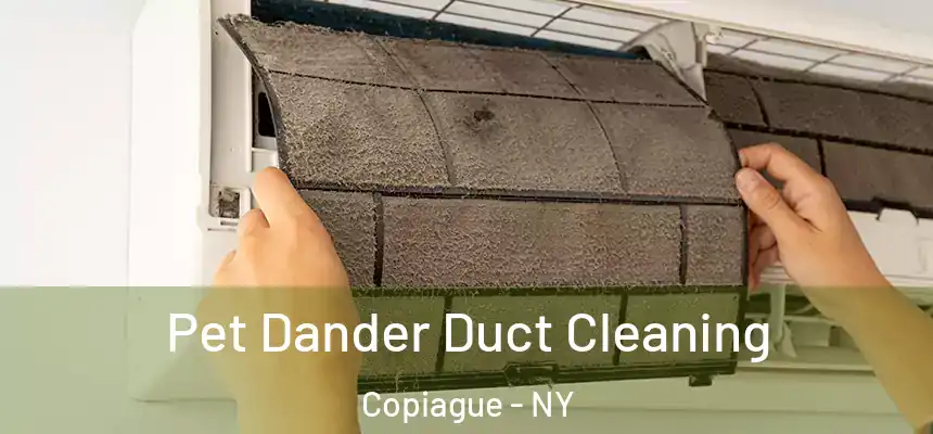  Pet Dander Duct Cleaning Copiague - NY