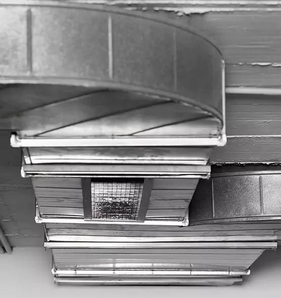 Professional Air Duct Pest Removal in Copiague, NY