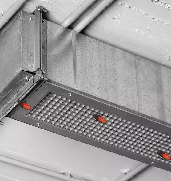 Affordable Insect Removal from Air Ducts in Copiague, NY