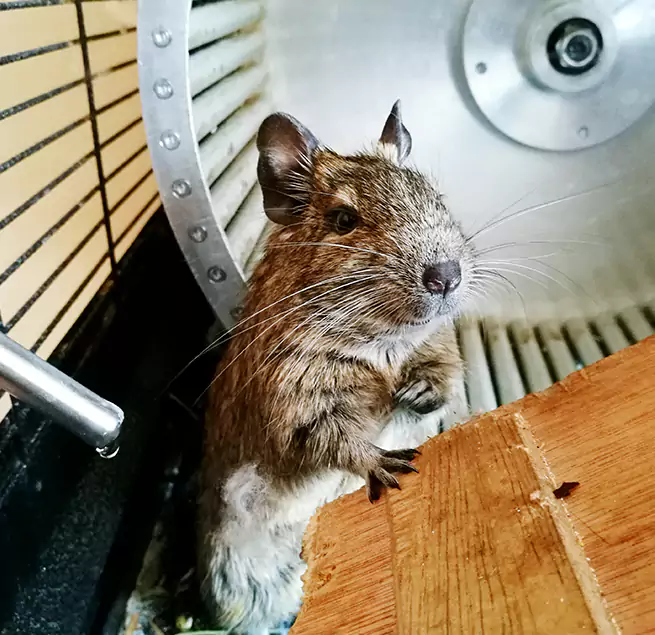 Why Homeowners & Businesses Trust Us Copiague, NY