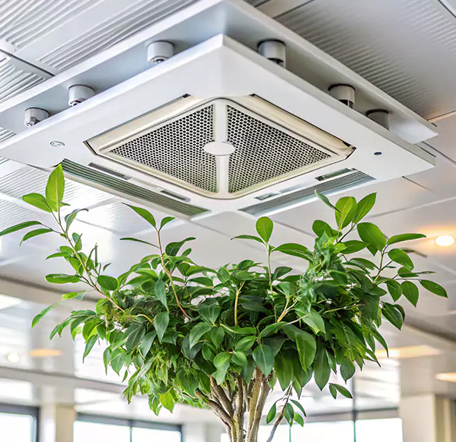 Why Homeowners & Businesses Trust Us in Copiague, NY?