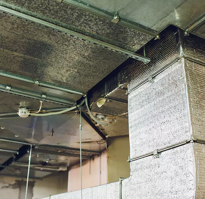 Why Homeowners & Businesses Trust Us in Copiague, NY?